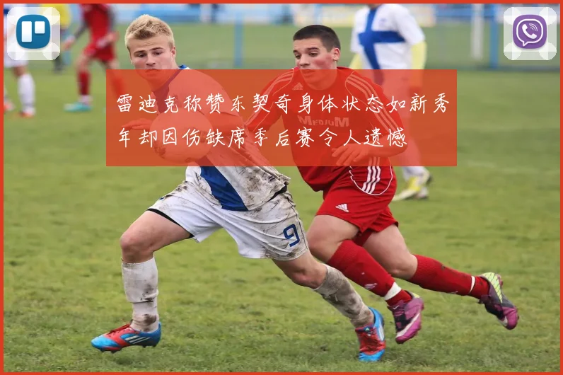 雷迪克称赞东契奇身体状态如新秀年却因伤缺席季后赛令人遗憾
